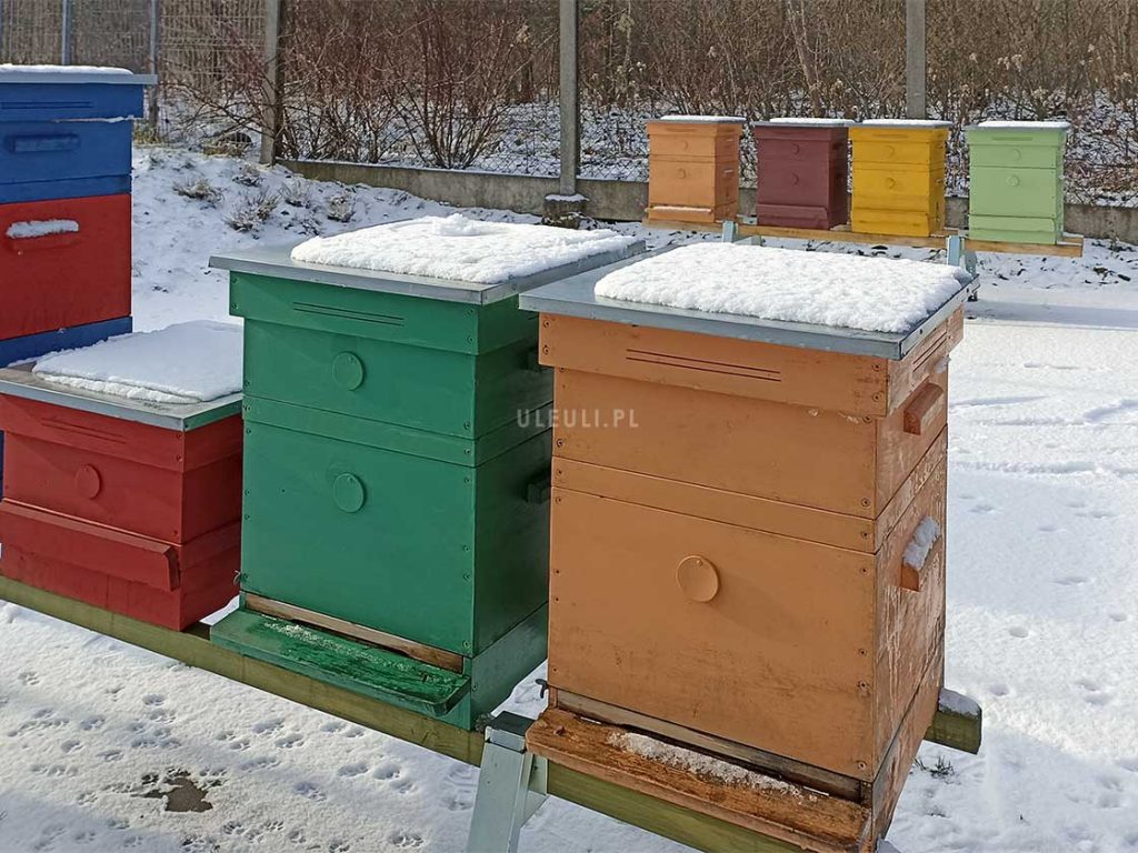 uleuli, pszczoły, zima, pasieka, pszczelarstwo,